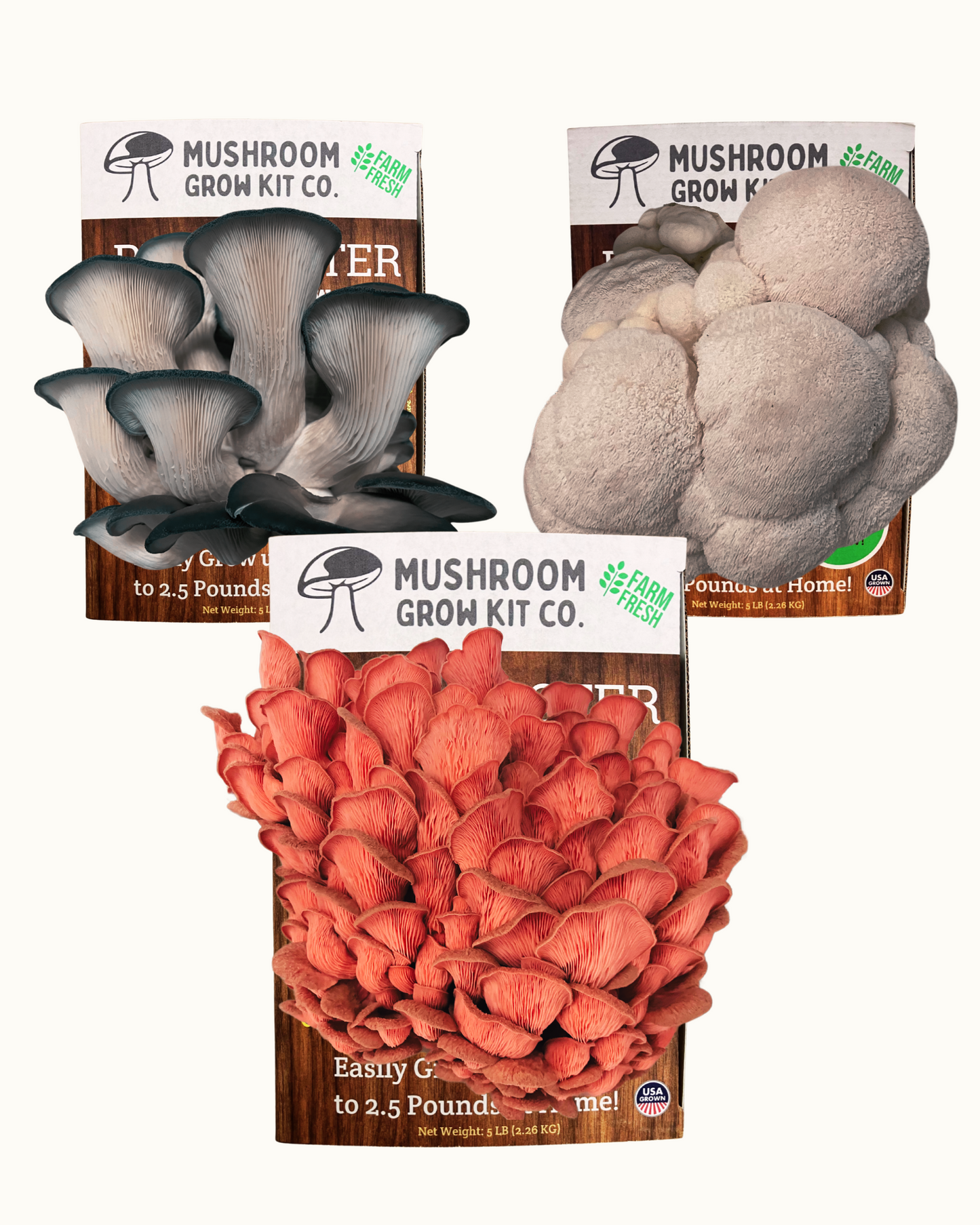 3 Pack - Premium Lion's Mane, Pink, and Blue Oyster Mushroom Growing Kit - 15 LBS