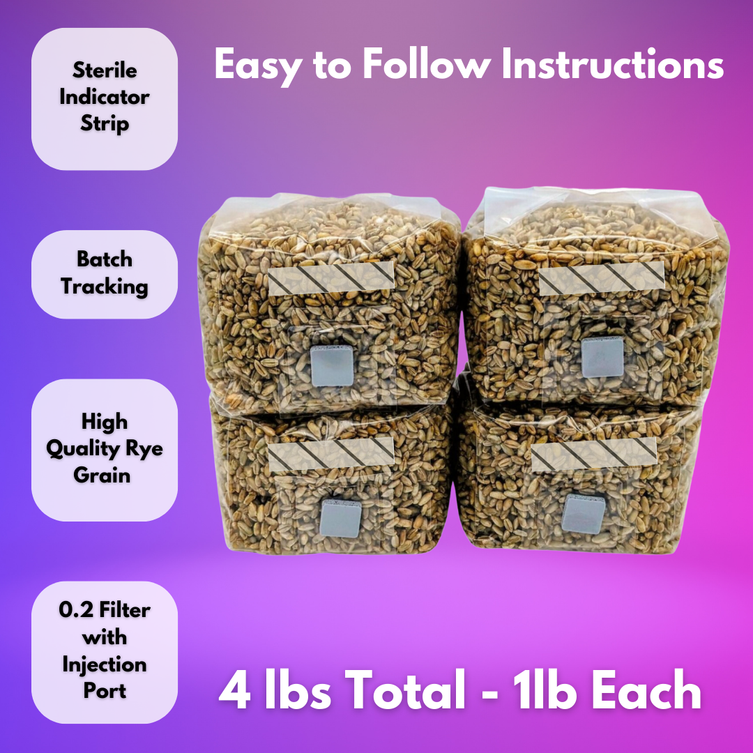 1lb Organic Rye Berries Mushroom Grain Spawn bags w/ Injection Ports