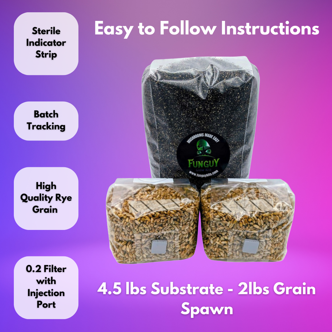 Mushroom Growing Kit Rye Grain Spawn Bags + Substrate Grow Like Magic