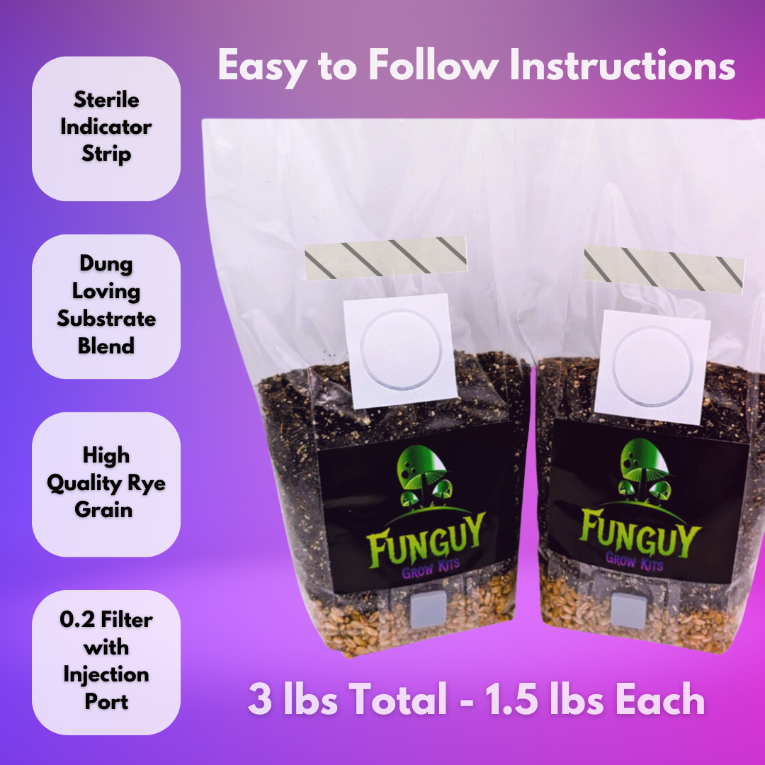 All in One Organic Easy Mushroom Grow Bag Kit Grain & Substrate