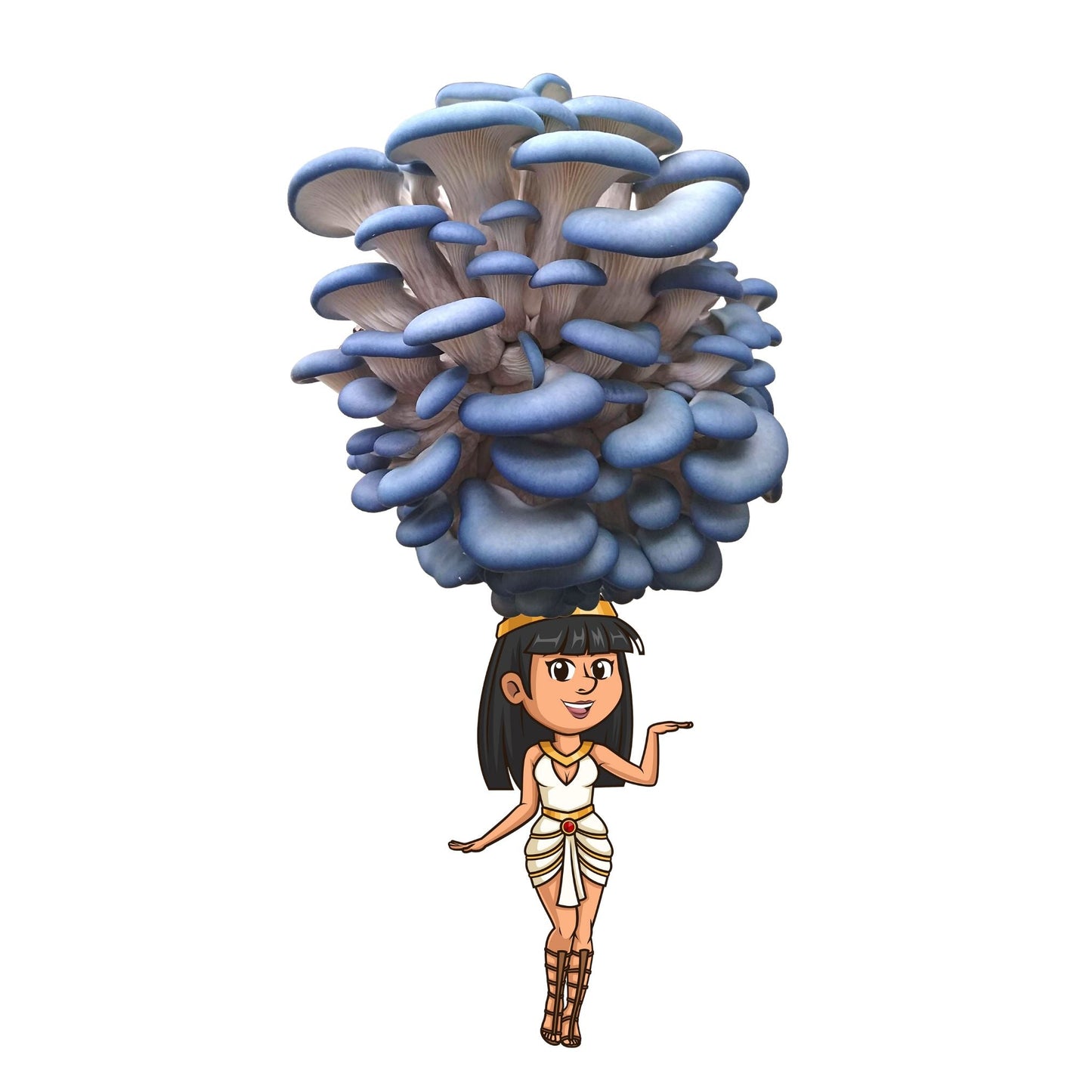 Fungititi- Blue Oyster Mushroom Grow Kit - 6.5 LBS