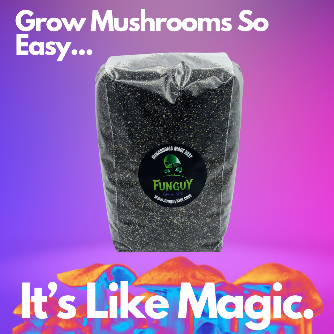 Mushroom Growing Premium Pasteurized Substrate Bag Grow