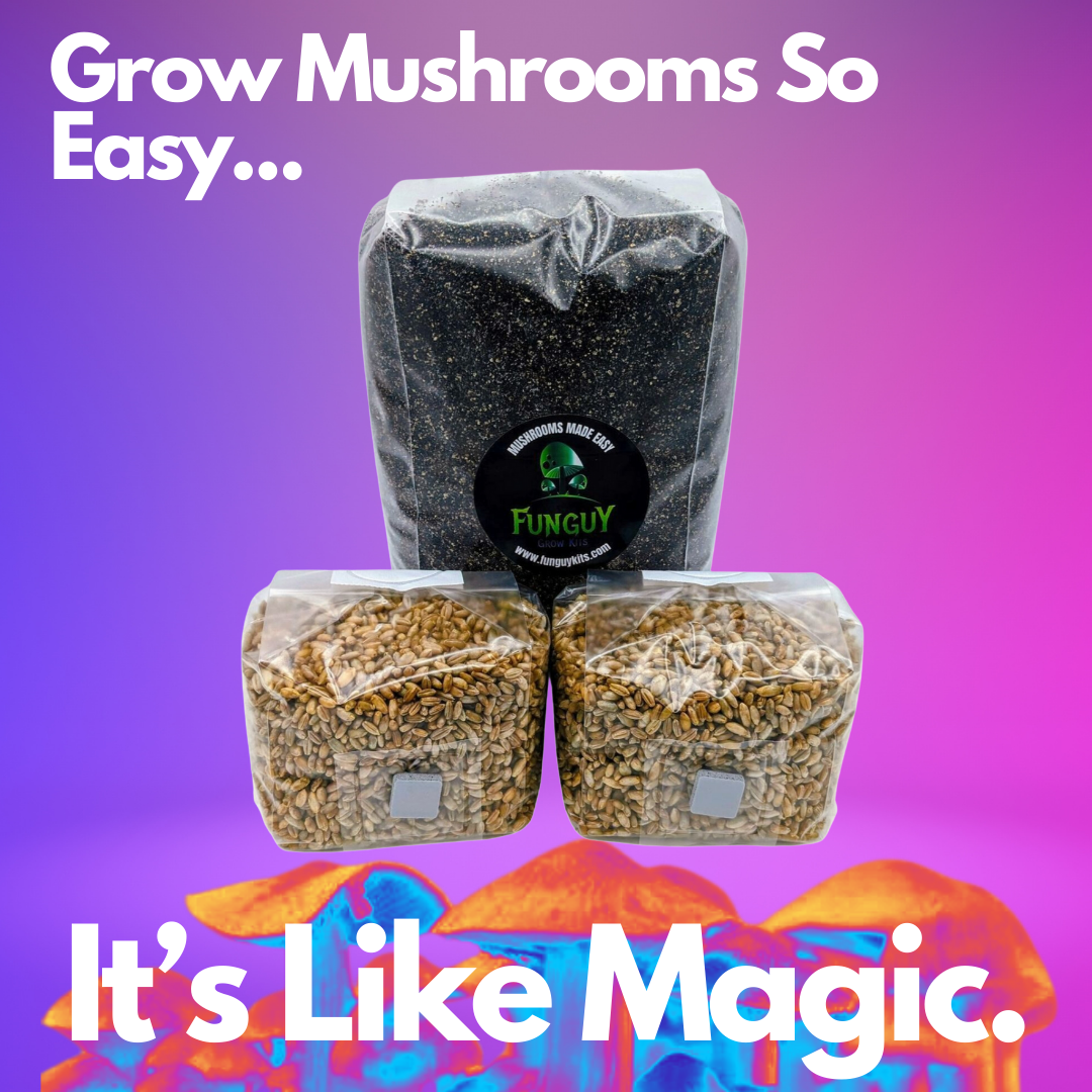 Mushroom Growing Kit Rye Grain Spawn Bags + Substrate Grow Like Magic