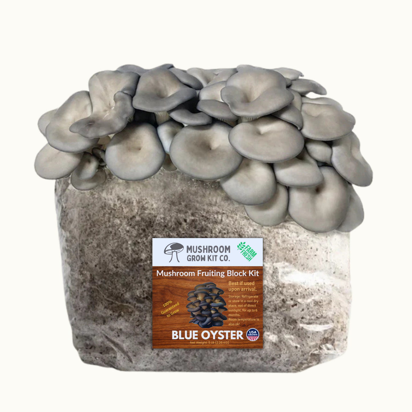 Premium Blue Oyster Mushroom Fruiting Block Grow Kit - 5 LBS