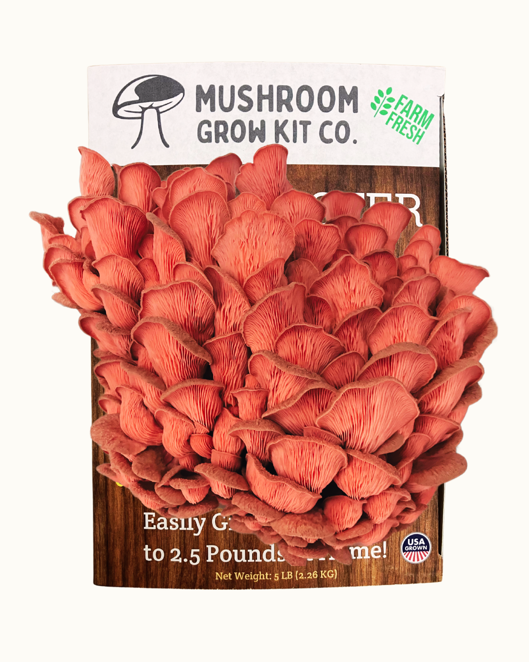 3 Pack - Premium Lion's Mane, Pink, and Blue Oyster Mushroom Growing Kit - 15 LBS