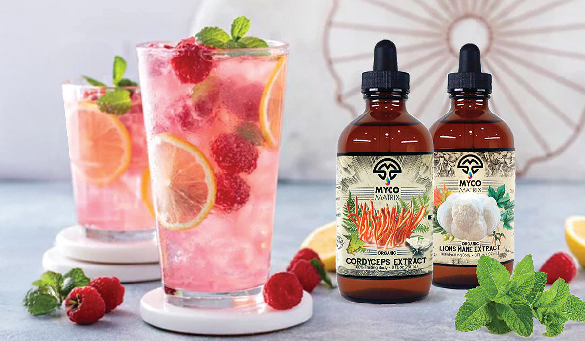 Mushroom Extracts & Supplements