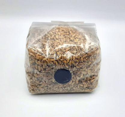 1lb Organic Rye Berries Mushroom Grain Spawn bags w/ Injection Ports