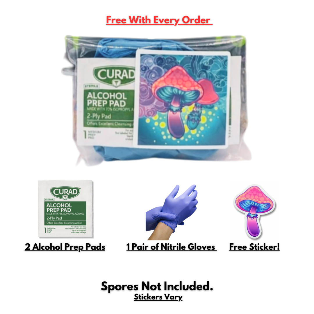 All in One Organic Easy Mushroom Grow Bag Kit Grain & Substrate