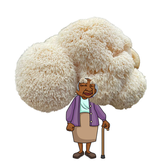 Madam Musherson - Lion's Mane Mushroom Grow Kit - 6.5 LBS