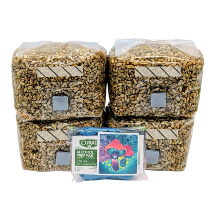 1lb Organic Rye Berries Mushroom Grain Spawn bags w/ Injection Ports