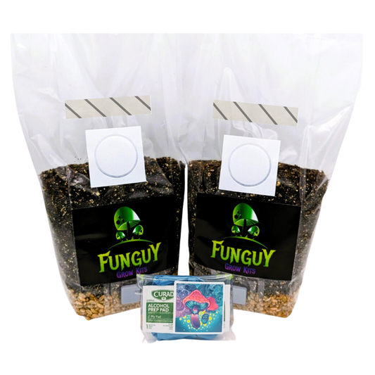 All in One Organic Easy Mushroom Grow Bag Kit Grain & Substrate