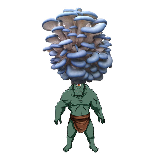 Mushrogre - Blue Oyster Mushroom Grow Kit - 6.5 LBS