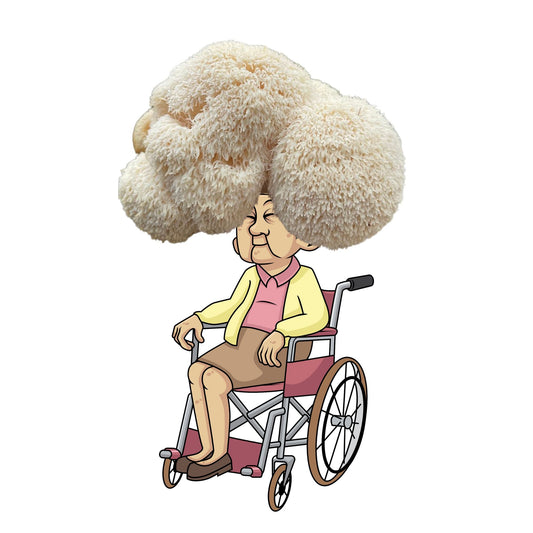 Nana Mush - Lion's Mane Mushroom Grow Kit - 6.5 LBS