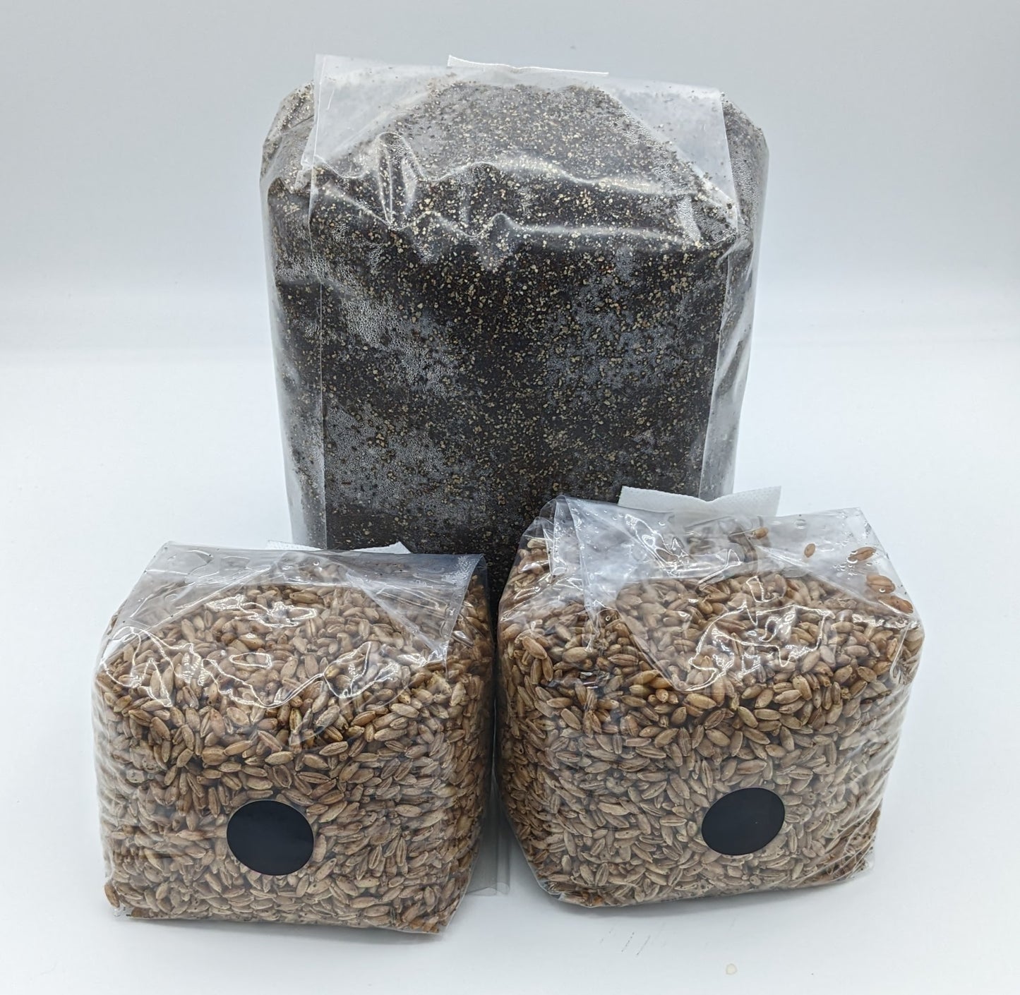 Simple Mushroom Monotub Starter Grow Kit Grain Bags Substrate Monotub