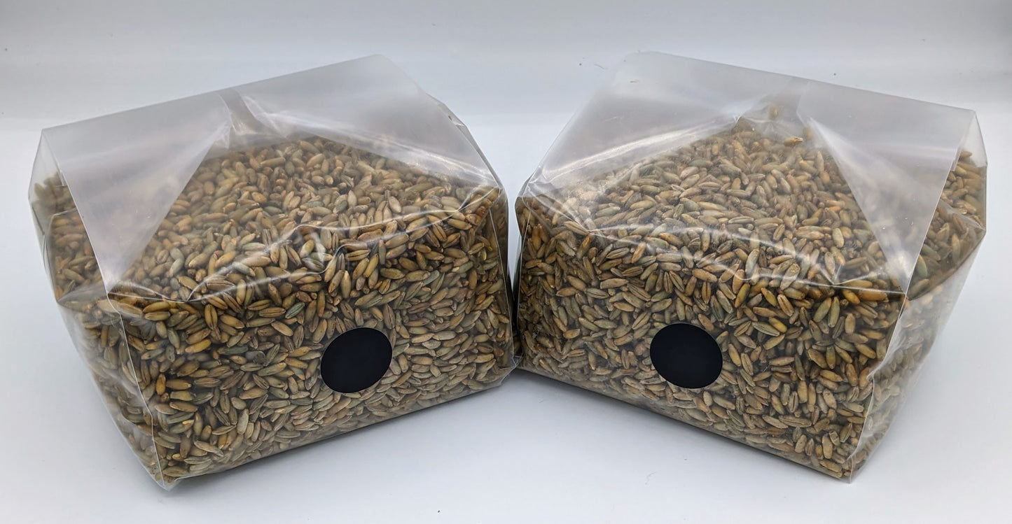 2 PACK - 2lb Organic Rye Berries Mushroom Grain Spawn bags w/ Injection Ports