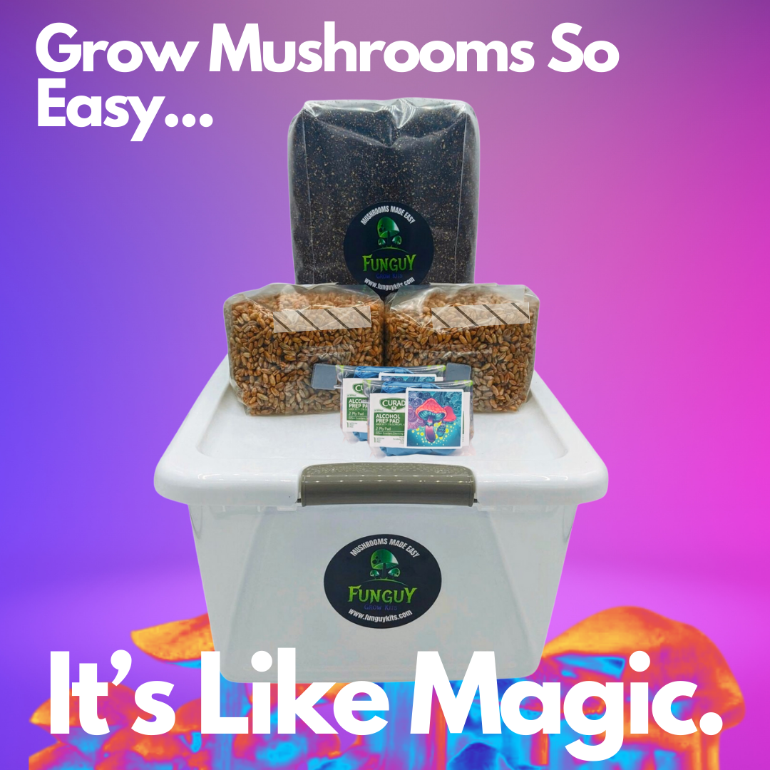 Mushroom Monotub Starter Grow Kit Grain Bags Substrate Monotub