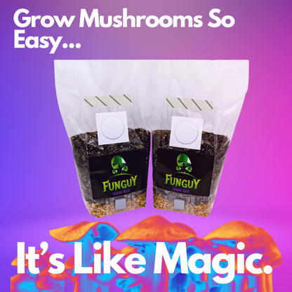 All in One Organic Easy Mushroom Grow Bag Kit Grain & Substrate
