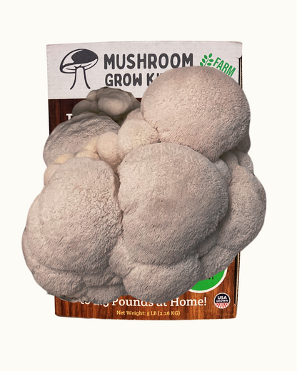 3 Pack - Premium Lion's Mane, Pink, and Blue Oyster Mushroom Growing Kit - 15 LBS