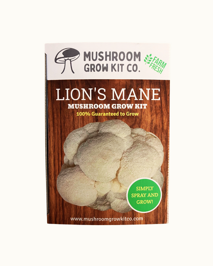 Premium Lion's Mane Mushroom Growing Kit - 5 LBS