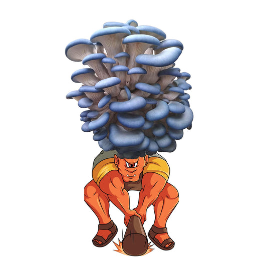 Smushrooom - Blue Oyster Mushroom Grow Kit - 6.5 LBS